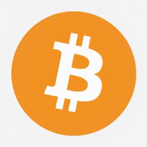 Understanding Network Fees and Transaction Speeds