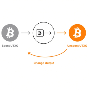 Why Bitcoin Uses the UTXO Model