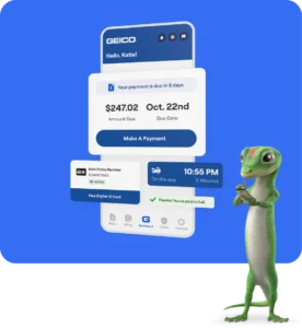 What Does GEICO Insurance Cover?